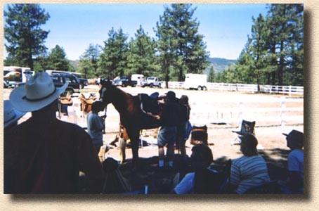 David Discussing The Fit Of An English Saddle